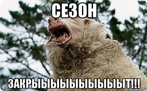 сезон закрыыыыыыыыыыт!!!