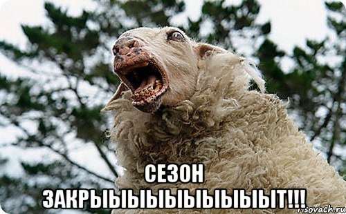  сезон закрыыыыыыыыыыт!!!