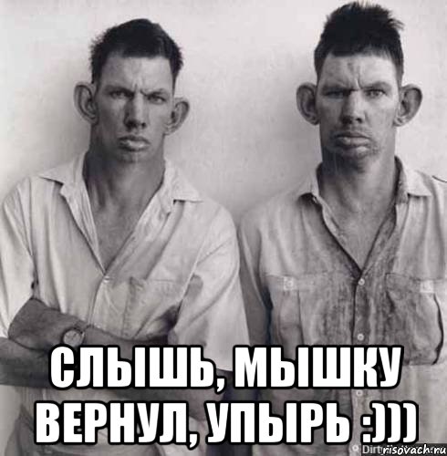  слышь, мышку вернул, упырь :))), Мем sdfsdfsdf