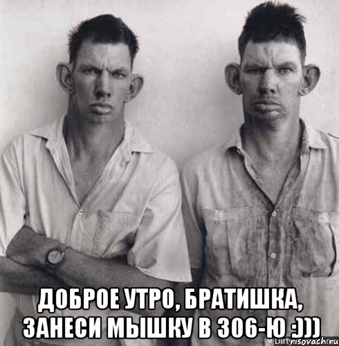  доброе утро, братишка, занеси мышку в 306-ю :))), Мем sdfsdfsdf