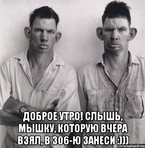  доброе утро! слышь, мышку, которую вчера взял, в 306-ю занеси :))), Мем sdfsdfsdf