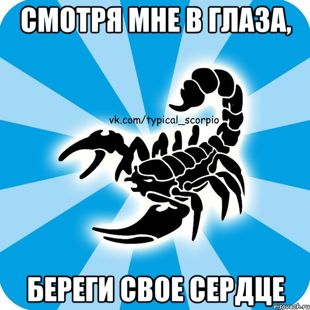 смотря мне в глаза, береги свое сердце, Мем Скорпион