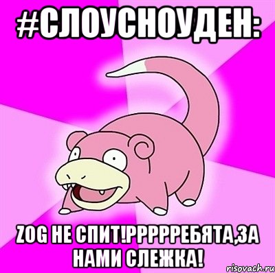 #слоусноуден: zog не спит!ррррребята,за нами слежка!, Мем слоупок