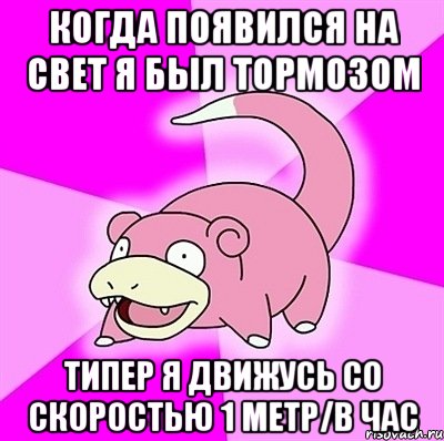 когда появился на свет я был тормозом типер я движусь со скоростью 1 метр/в час, Мем слоупок