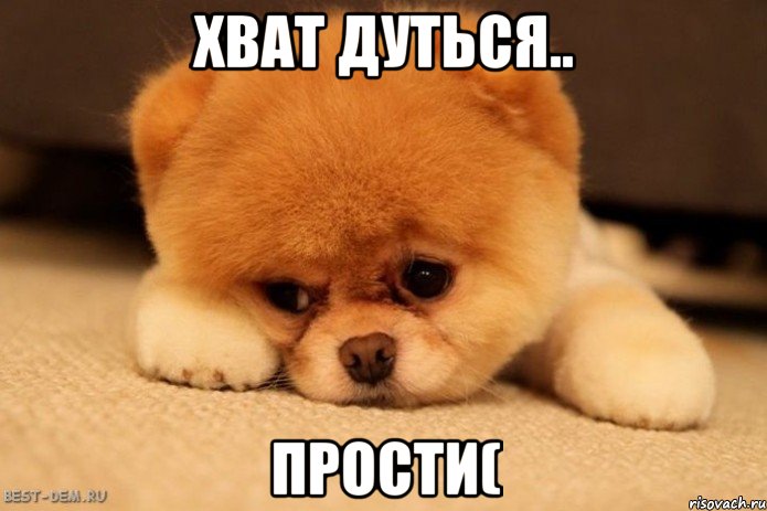 хват дуться.. прости(