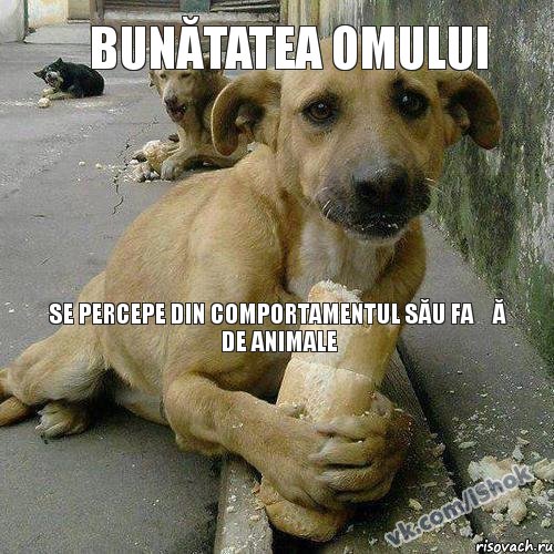 se percepe din comportamentul său față de animale bunătatea omului