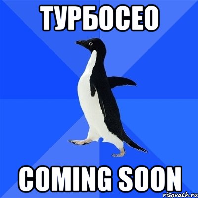 турбосео coming soon, Мем  Социально-неуклюжий пингвин