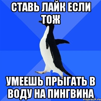 ставь лайк если тож умеешь прыгать в воду на пингвина, Мем  Социально-неуклюжий пингвин