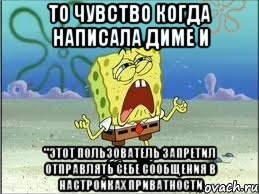 то чувство когда написала диме и "этот пользователь запретил отправлять себе сообщения в настройках приватности, Мем Спанч Боб плачет