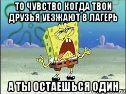 то чувство когда твои друзья уезжают в лагерь а ты остаешься один, Мем Спанч Боб плачет