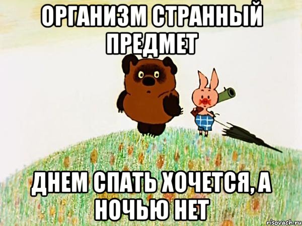 организм странный предмет днем спать хочется, а ночью нет, Мем Странный предмет