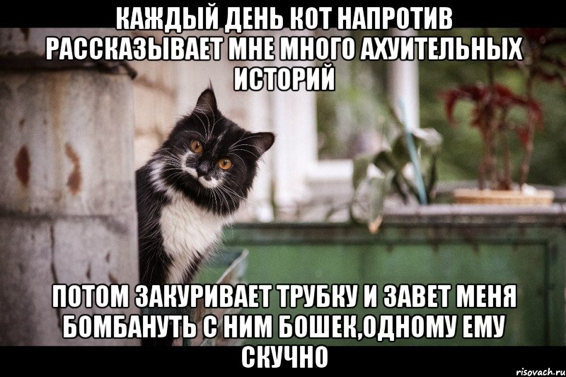 каждый день кот напротив рассказывает мне много ахуительных историй потом закуривает трубку и завет меня бомбануть с ним бошек,одному ему скучно, Мем суау