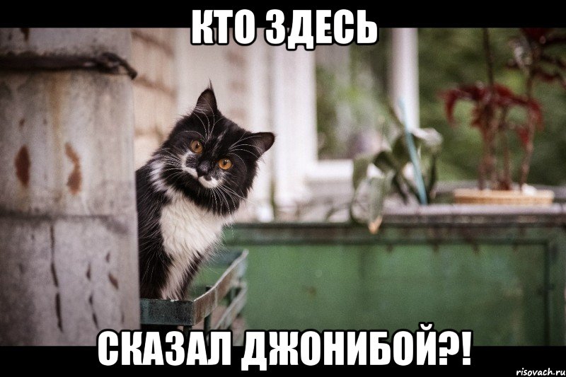 кто здесь сказал джонибой?!, Мем суау