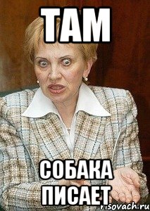 там собака писает