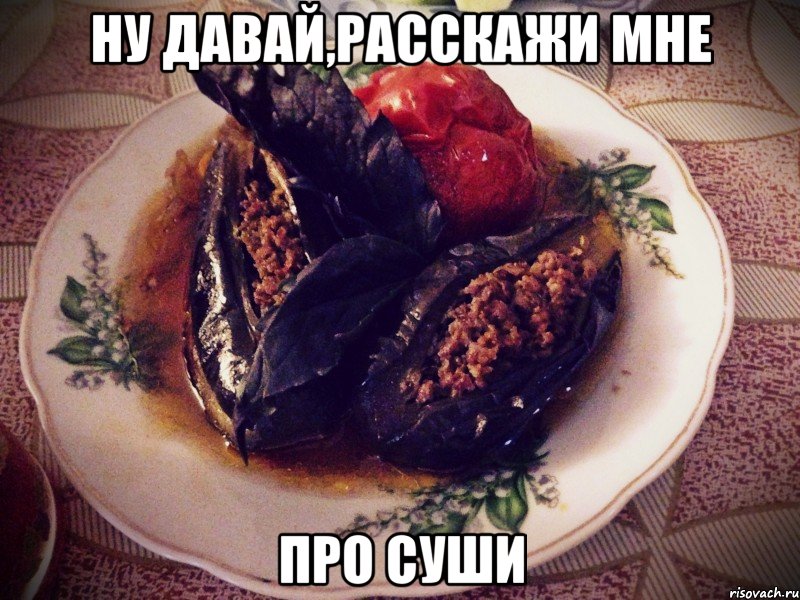 ну давай,расскажи мне про суши, Мем СУШИ