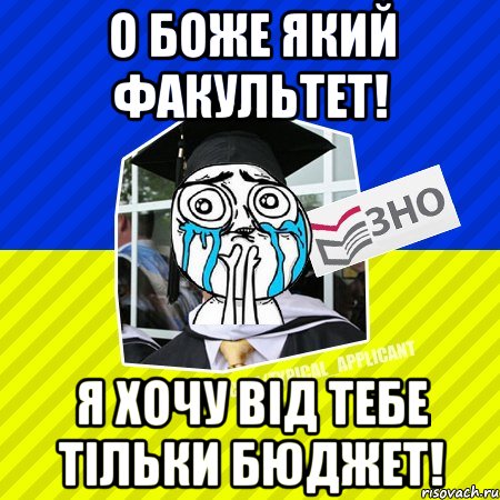 о боже який факультет! я хочу від тебе тільки бюджет!, Мем ТА 2013 3