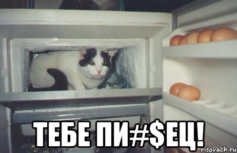  тебе пи#$ец!, Мем тебе пиец