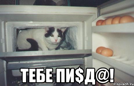  тебе пи$д@!, Мем тебе пиец