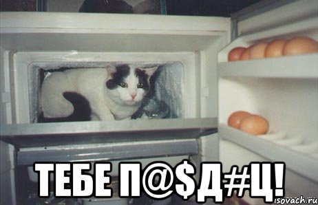  тебе п@$д#ц!, Мем тебе пиец