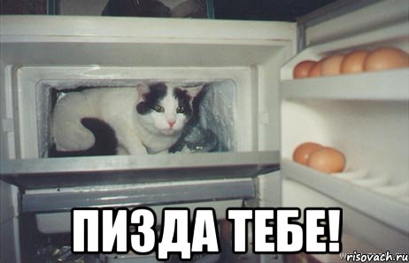  пизда тебе!, Мем тебе пиец
