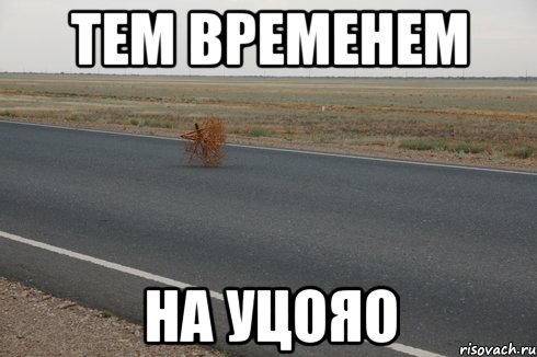 тем временем на уцояо, Мем тем временем