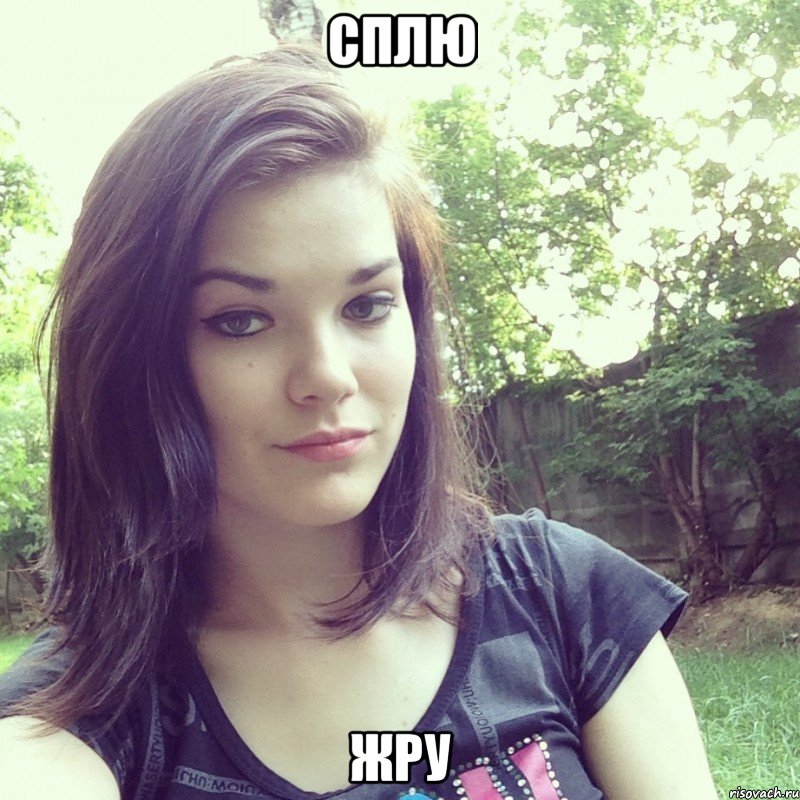 сплю жру, Мем Типичная