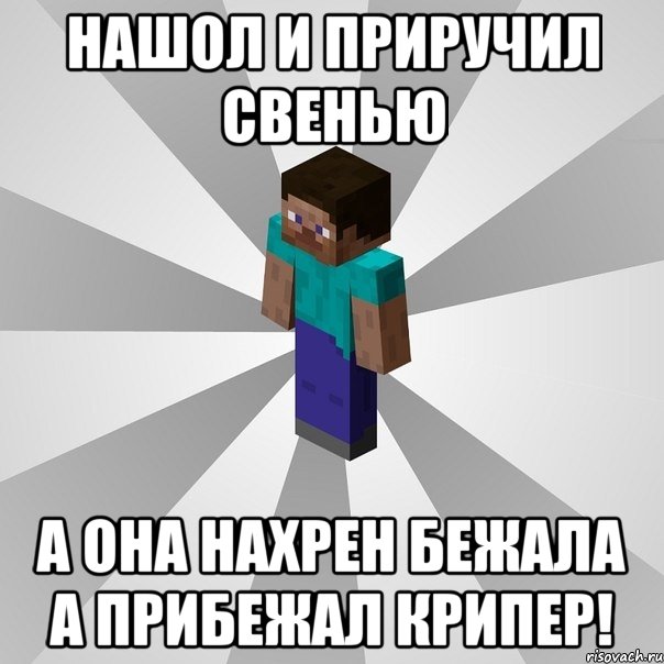 нашол и приручил свенью а она нахрен бежала а прибежал крипер!, Мем Типичный игрок Minecraft