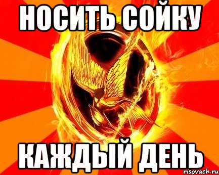 носить сойку каждый день, Мем Типичный Фанат Голодных Игр