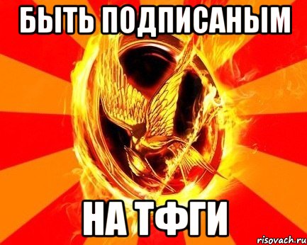 быть подписаным на тфги, Мем Типичный Фанат Голодных Игр
