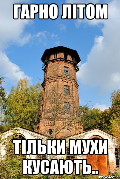 гарно літом тільки мухи кусають.., Мем Типов Шпитьки