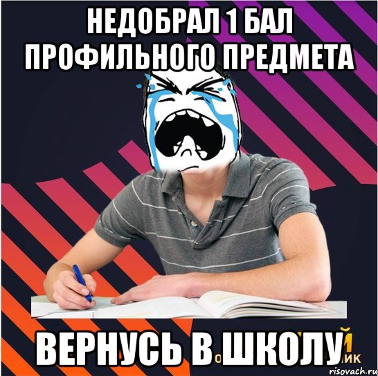 недобрал 1 бал профильного предмета вернусь в школу, Мем Типовий одинадцятикласник