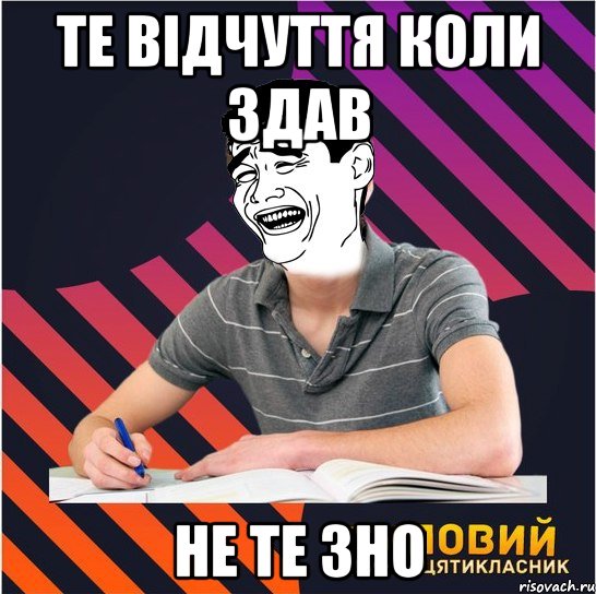 те відчуття коли здав не те зно, Мем Типовий одинадцятикласник