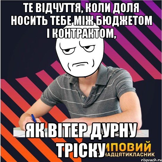 те відчуття, коли доля носить тебе між бюджетом і контрактом, як вітер дурну тріску, Мем Типовий одинадцятикласник