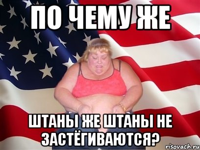 по чему же штаны же штаны не застёгиваются?, Мем Толстая американка