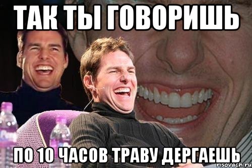 так ты говоришь по 10 часов траву дергаешь, Мем том круз