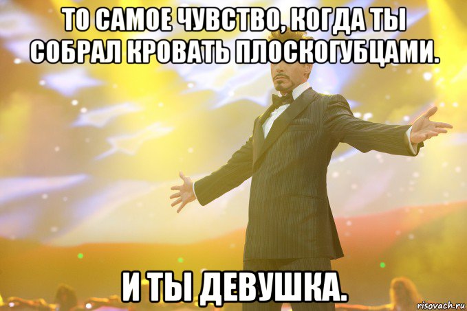 то самое чувство, когда ты собрал кровать плоскогубцами. и ты девушка.