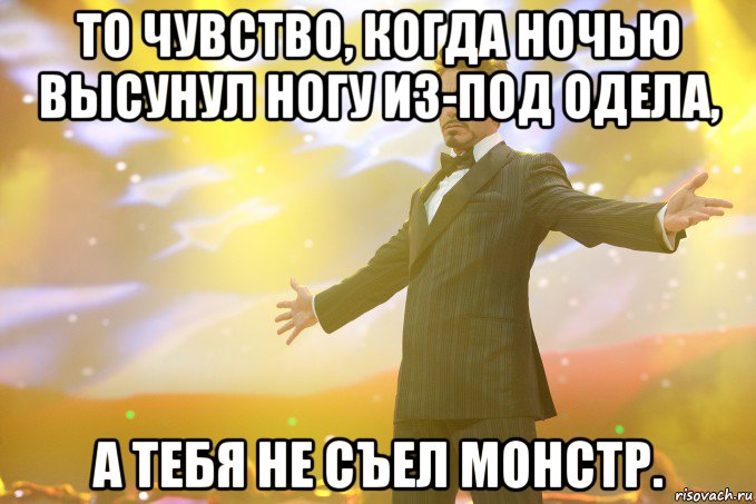 то чувство, когда ночью высунул ногу из-под одела, а тебя не съел монстр., Мем Тони Старк (Роберт Дауни младший)