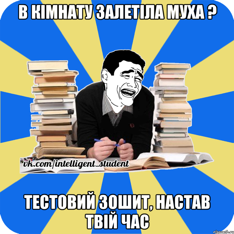 в кімнату залетіла муха ? тестовий зошит, настав твій час