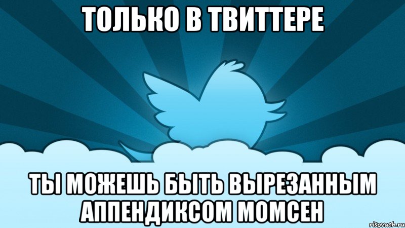 только в твиттере ты можешь быть вырезанным аппендиксом момсен, Мем    твиттер