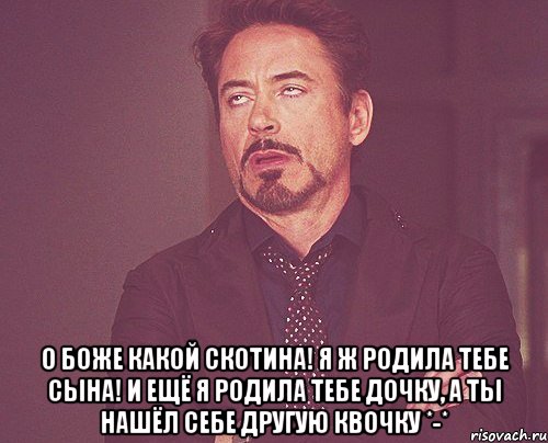  о боже какой скотина! я ж родила тебе сына! и ещё я родила тебе дочку, а ты нашёл себе другую квочку *-*, Мем твое выражение лица