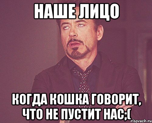 наше лицо когда кошка говорит, что не пустит нас;(, Мем твое выражение лица