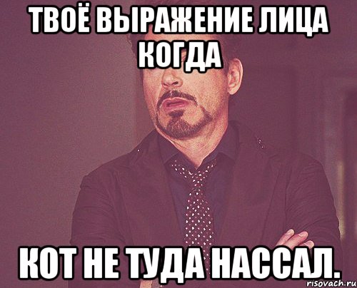 твоё выражение лица когда кот не туда нассал., Мем твое выражение лица