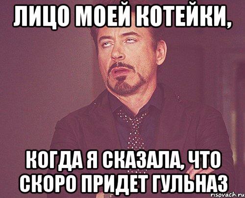 лицо моей котейки, когда я сказала, что скоро придет гульназ, Мем твое выражение лица