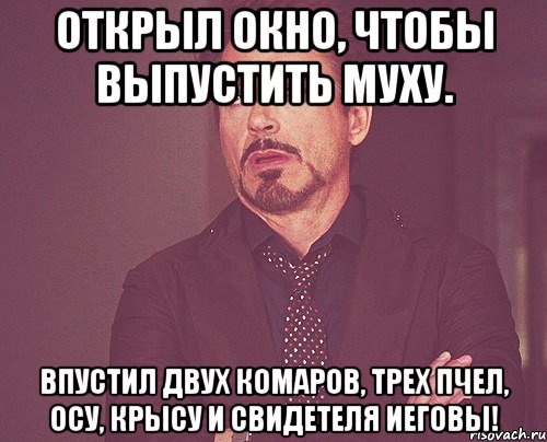 открыл окно, чтобы выпустить муху. впустил двух комаров, трех пчел, осу, крысу и свидетеля иеговы!, Мем твое выражение лица