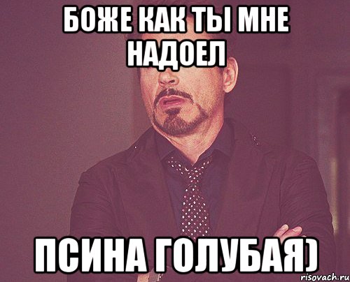 боже как ты мне надоел псина голубая), Мем твое выражение лица