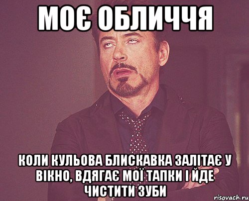 моє обличчя коли кульова блискавка залітає у вікно, вдягає мої тапки і йде чистити зуби, Мем твое выражение лица