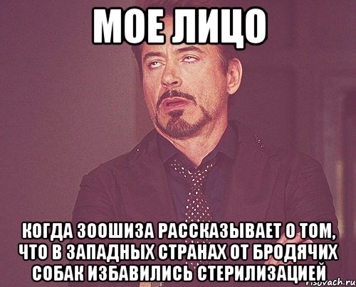 мое лицо когда зоошиза рассказывает о том, что в западных странах от бродячих собак избавились стерилизацией, Мем твое выражение лица