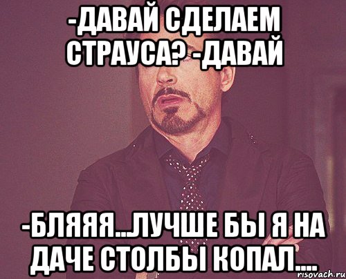 -давай сделаем страуса? -давай -бляяя...лучше бы я на даче столбы копал...., Мем твое выражение лица