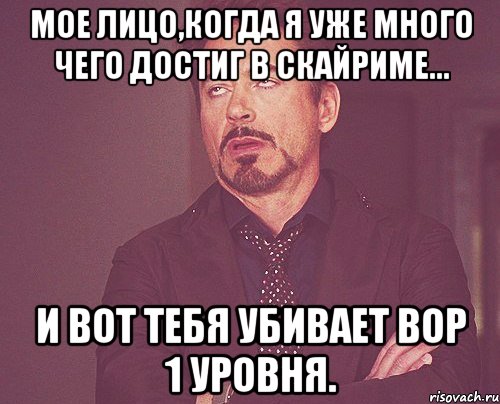 мое лицо,когда я уже много чего достиг в скайриме... и вот тебя убивает вор 1 уровня., Мем твое выражение лица