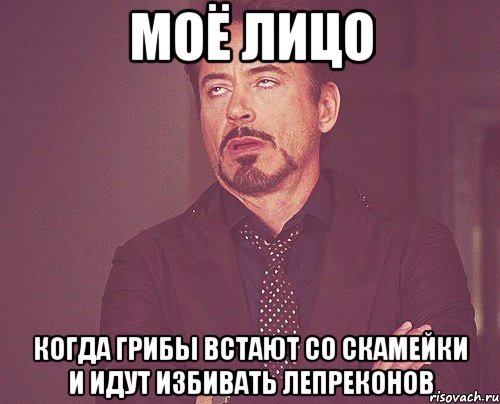 моё лицо когда грибы встают со скамейки и идут избивать лепреконов, Мем твое выражение лица